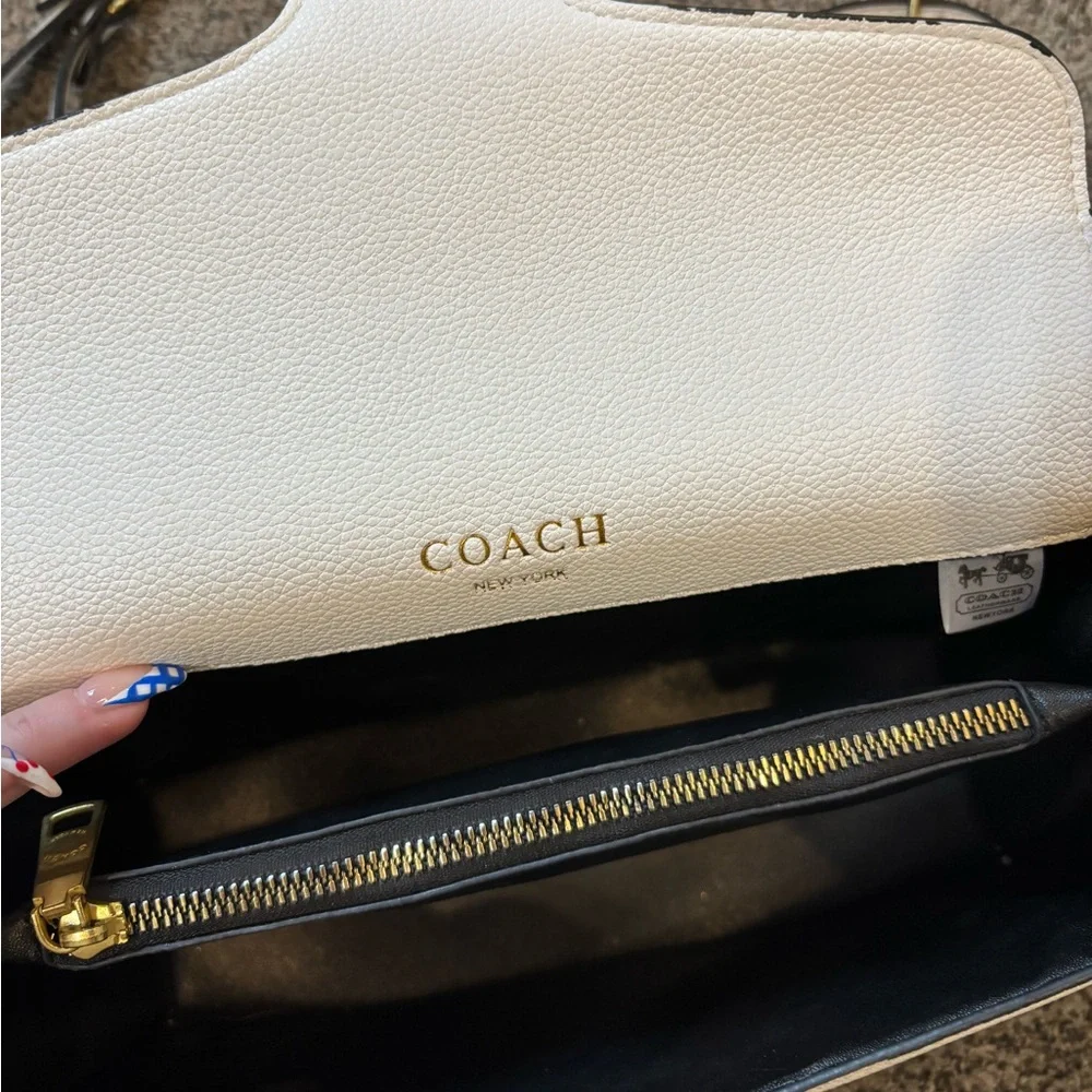 White Tabby Purse